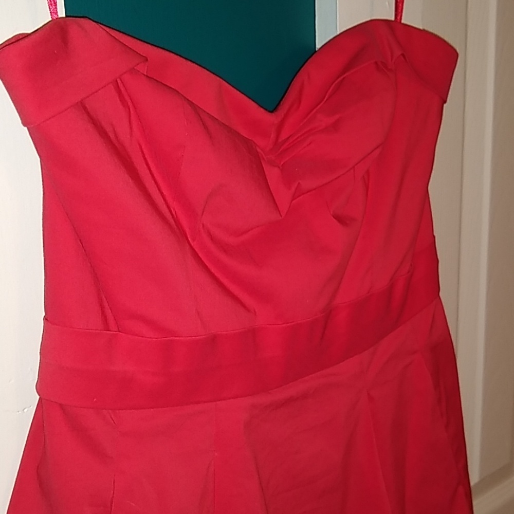 NWTs Gorgeous BCBG Dress